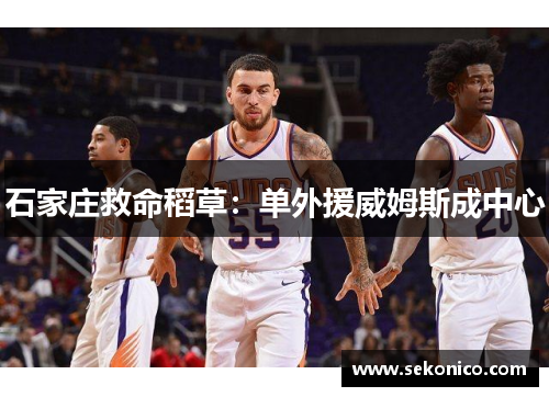 石家庄救命稻草：单外援威姆斯成中心